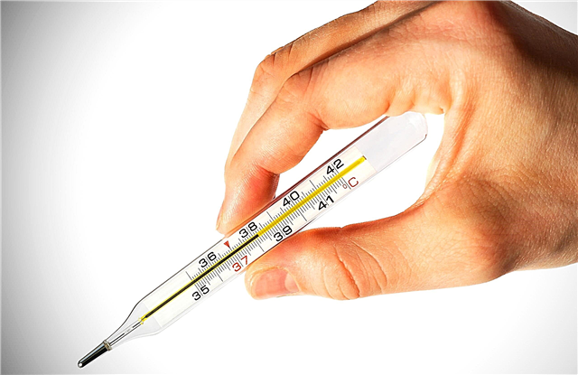 Hvordan blev kropstemperaturen målt før opfindelsen af ​​termometeret?