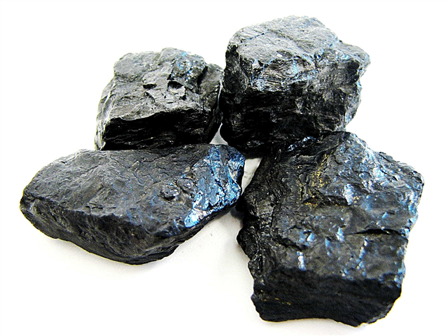 الفحم والنفط: من أين أتوا وكيف تتكون - باختصار ، صور وفيديو
