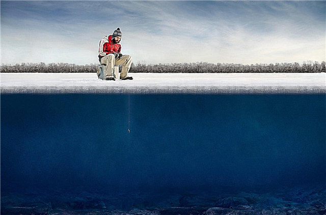 Su neden kalın bir buz tabakasının altında donmuyor? Nedenleri, fotoğrafları ve videoları